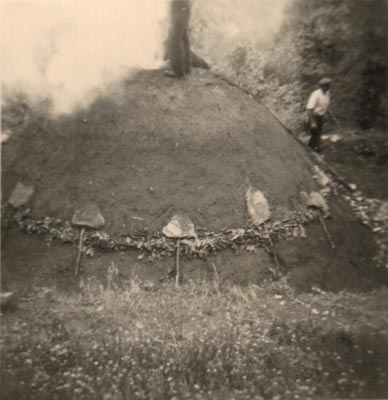  Image name: 19 Carbonai.jpg 
 width: 388 pixel 
 height: 400 pixel 
 Size: 30132 bytes 
 Click to enlarge 